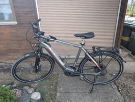 Tour de Suisse eBike 25 KMH L
