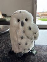 Hibou des neiges Living Nature neuf