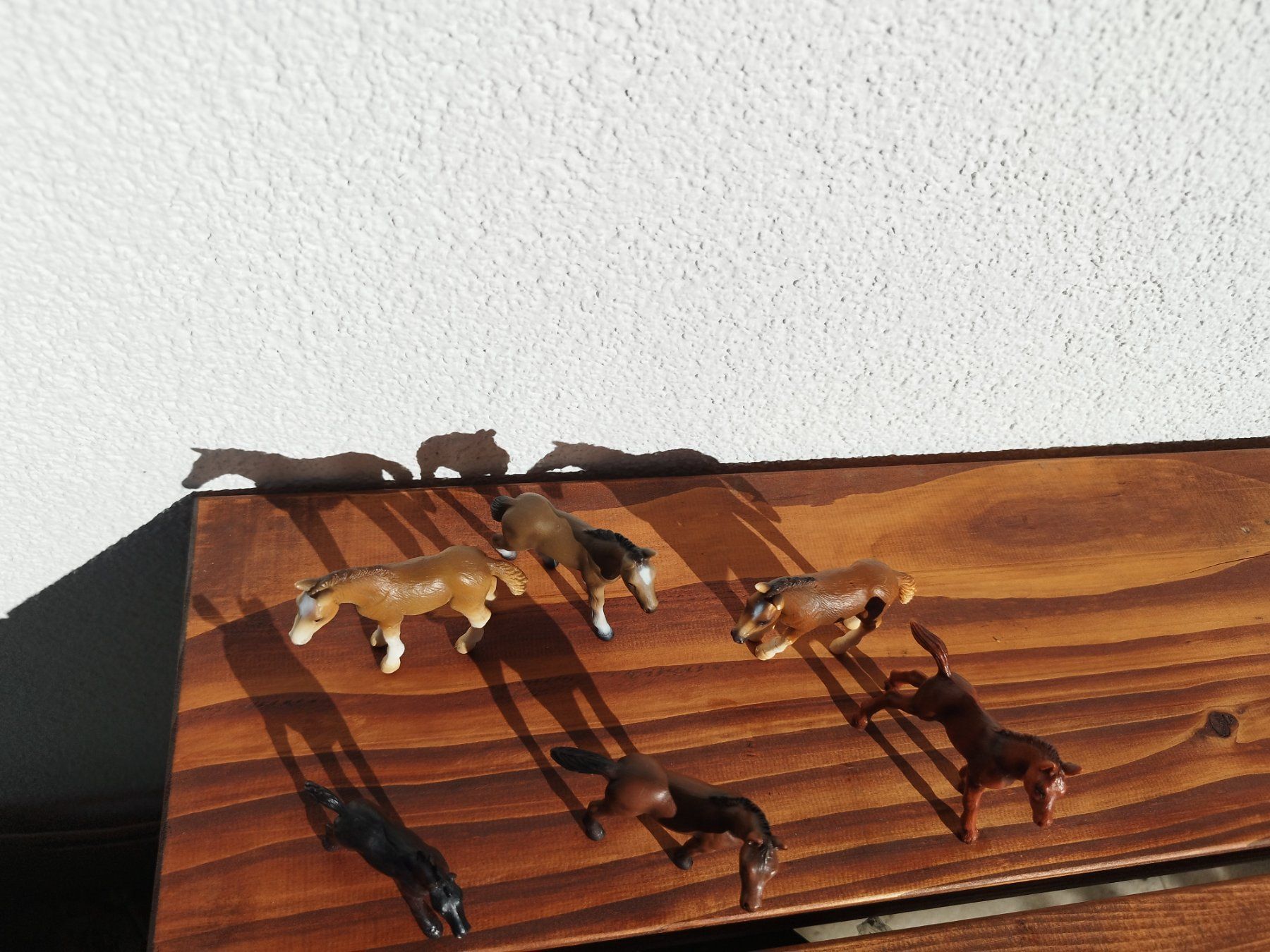Schleich Giocattoli: Schleich Fohlen – Usato da Krauchthal venduto da AnnalenaS01 3