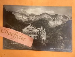 1198. Rossfall m/Säntiskette 1919