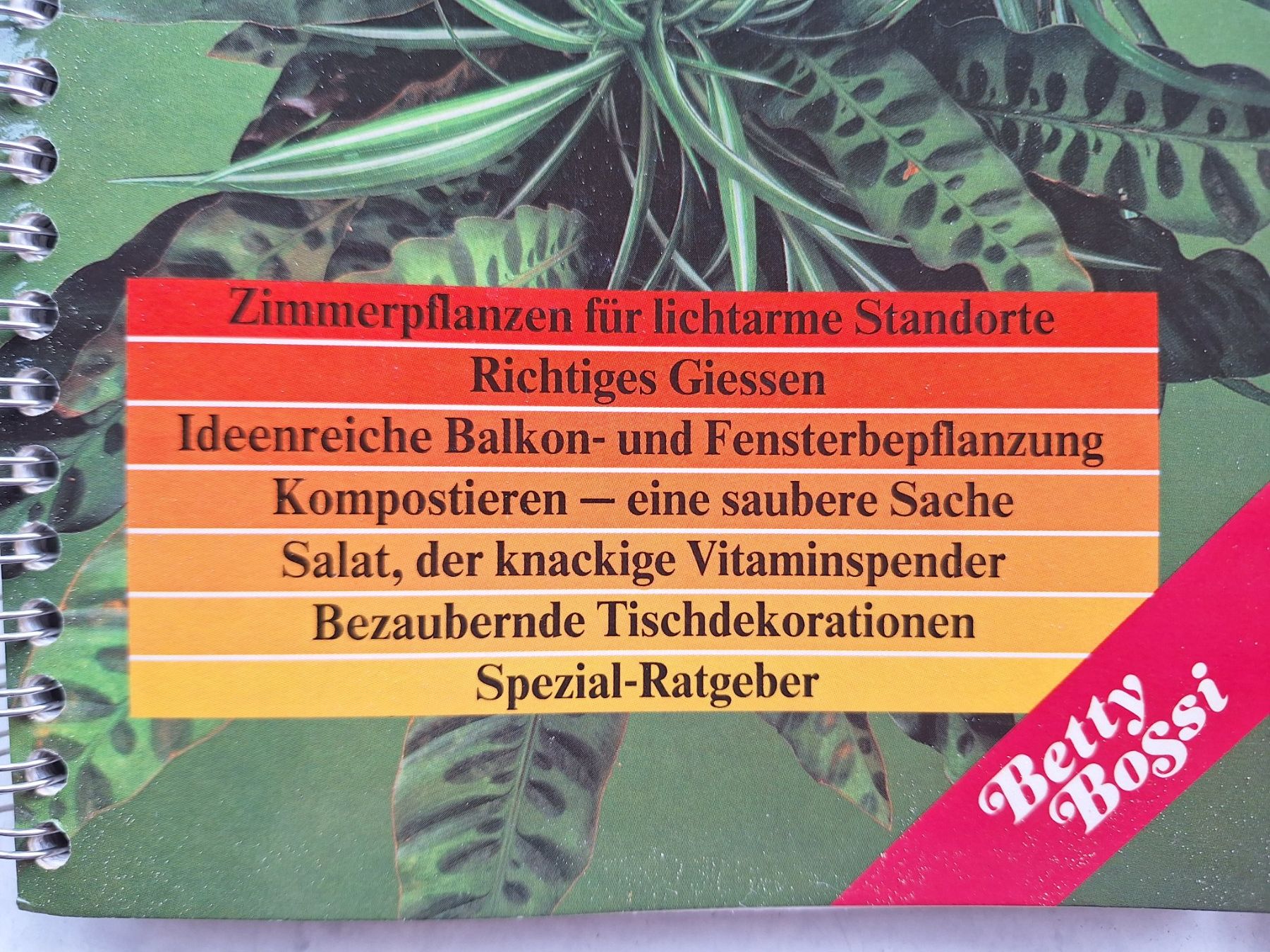 Libri: BB IMMERGRÜN 2 & 3 – Usato da Huttwil venduto da Kunterbuntli 1