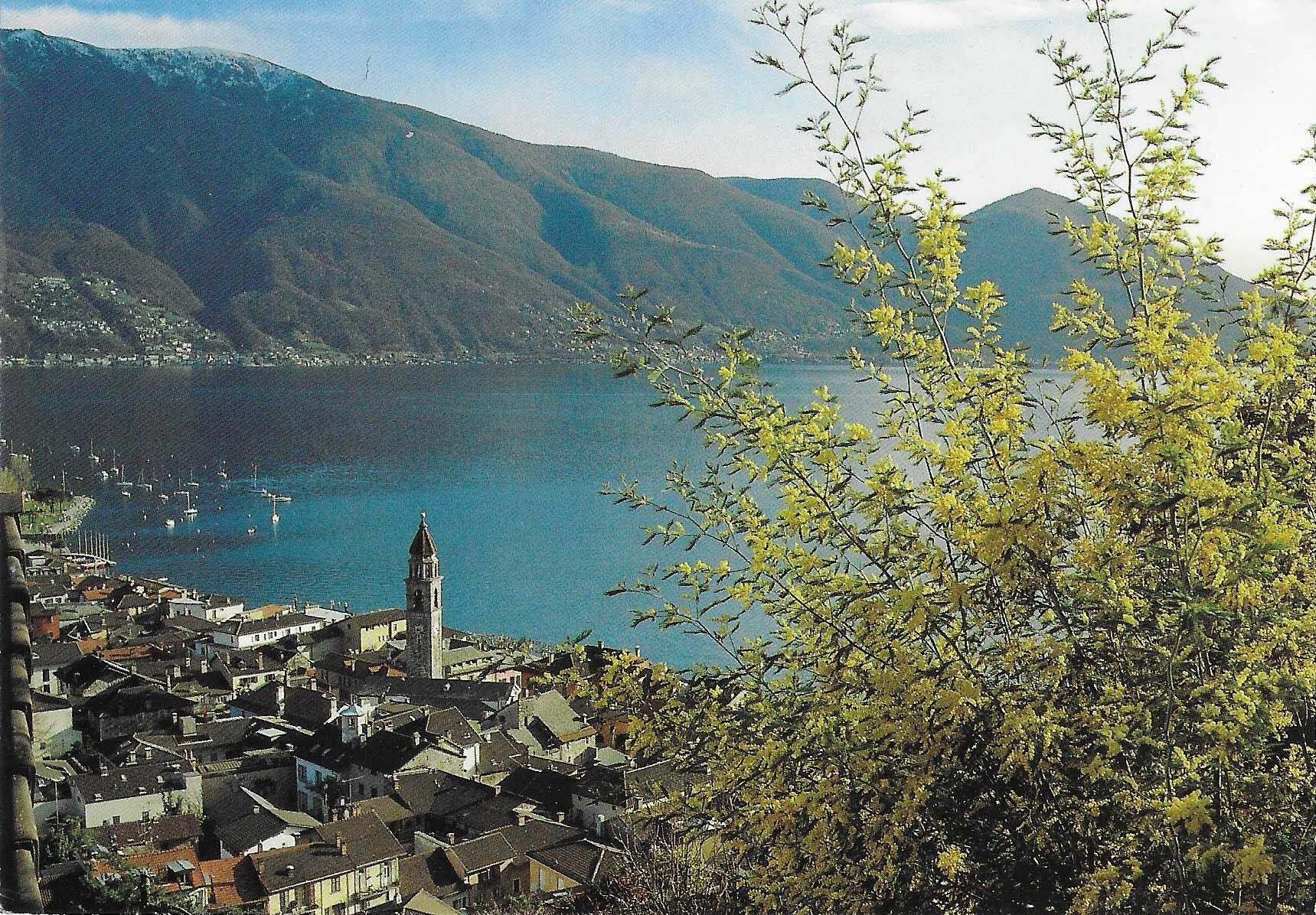 Cartoline postali: Ascona TI – Usato da Rothrist venduto da Stranglehold