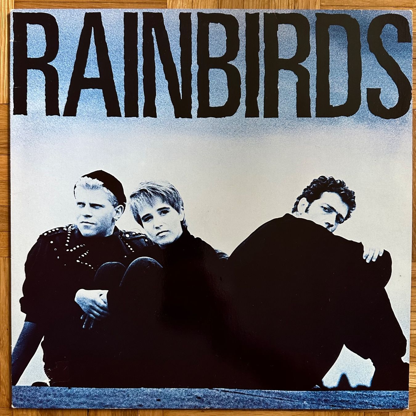 Dischi in vinile: LP - Rainbirds - Rainbirds – Usato da Breganzona venduto da Onairda75
