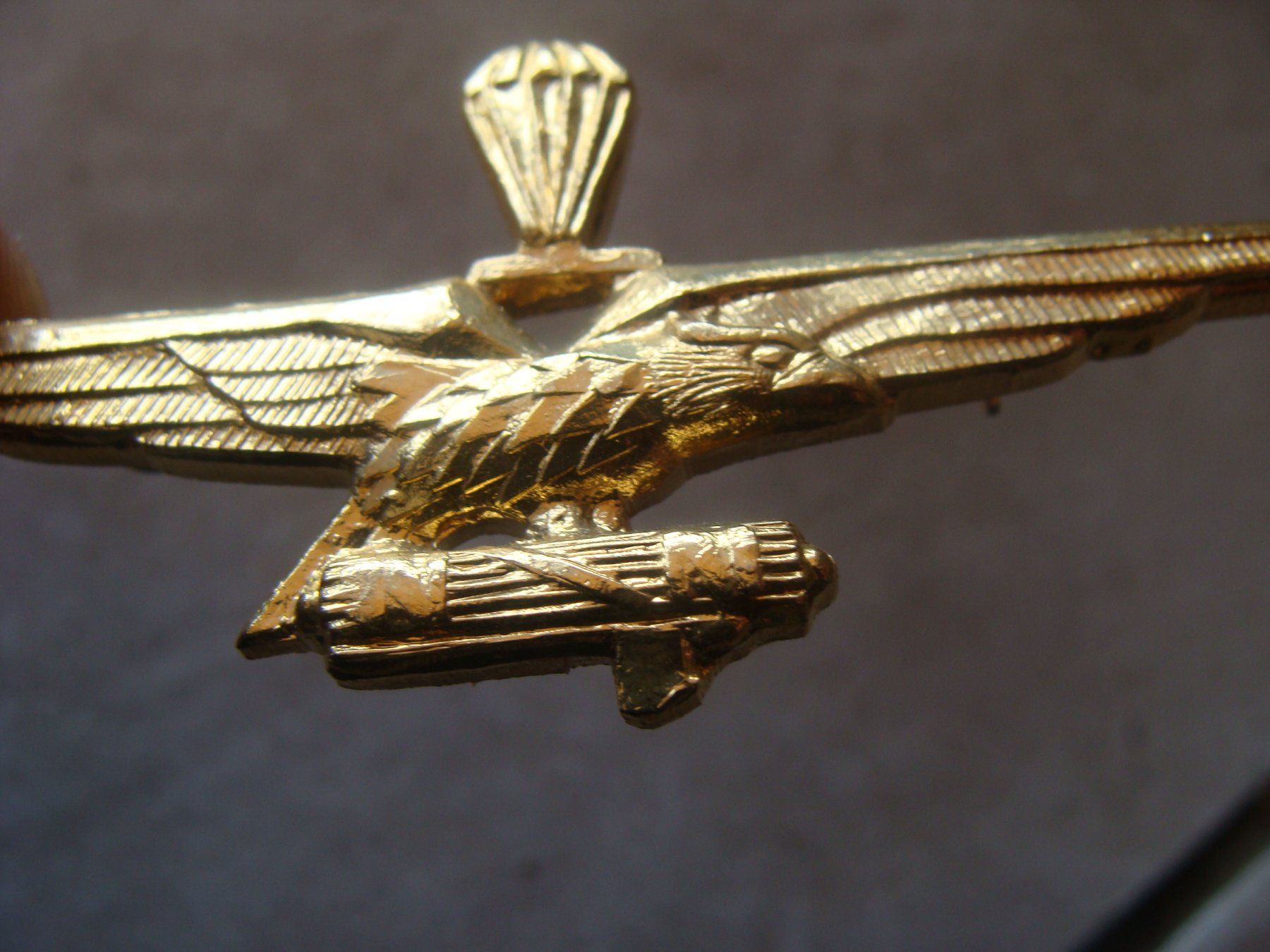 Plaquettes & Badges: Insigne militaire inconnu. – D'occasion à Cuarny par hen_g7hn 1