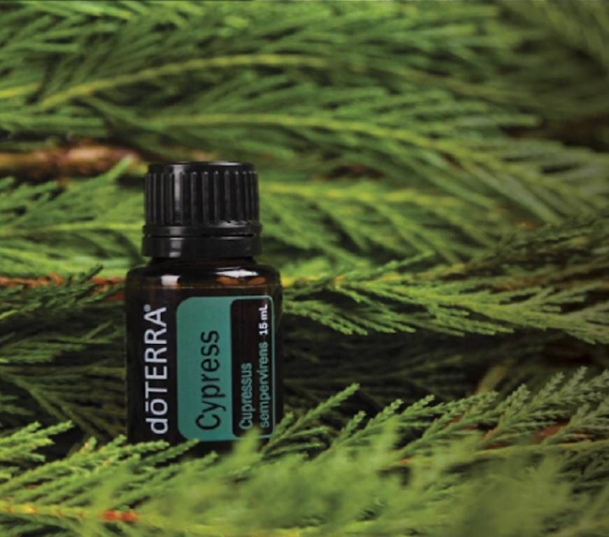 Oli essenziali: Olio essenziale Cipresso doterra – Usato da Rivera venduto da pat_6nvw