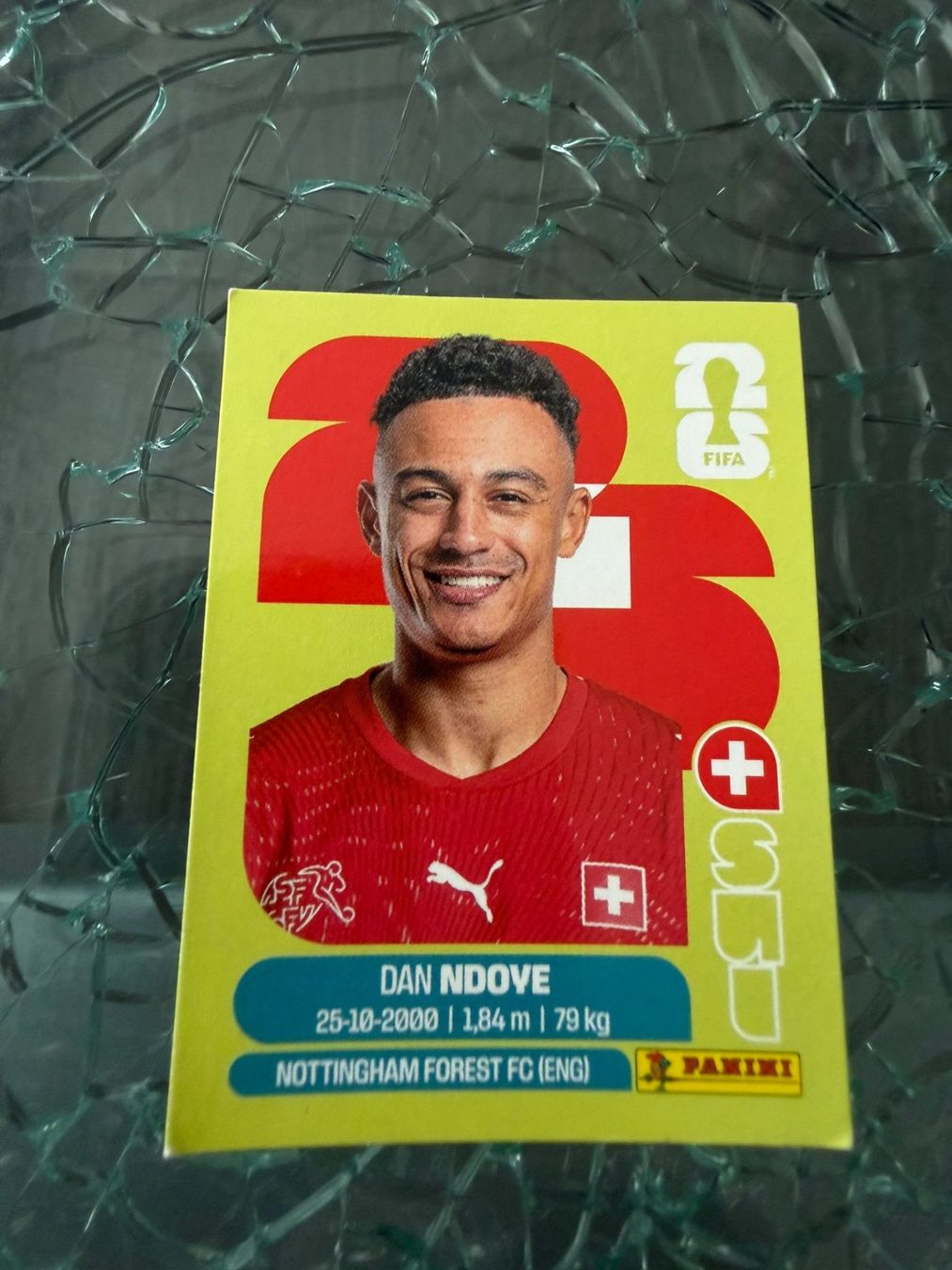 Panini Carte collezionabili: WM 2026 - Panini - Dan Ndove - SUI 19 – Usato da Pfäffikon ZH venduto da Marcodesi76