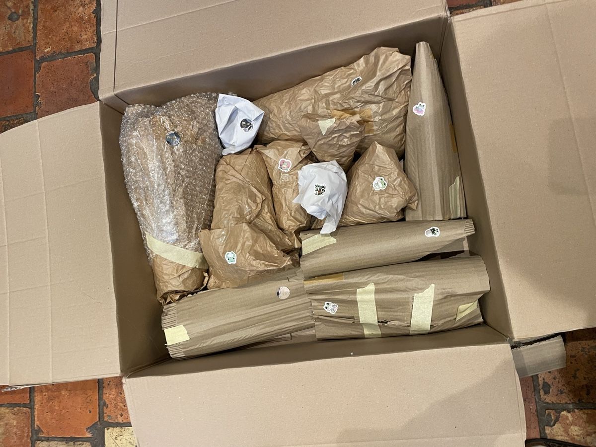 Piante & sementi: Grosse Zimmerpflanzen Überraschungsbox – Nuovo (secondo la descrizione) da Rothrist venduto da Magdalenasthings 9