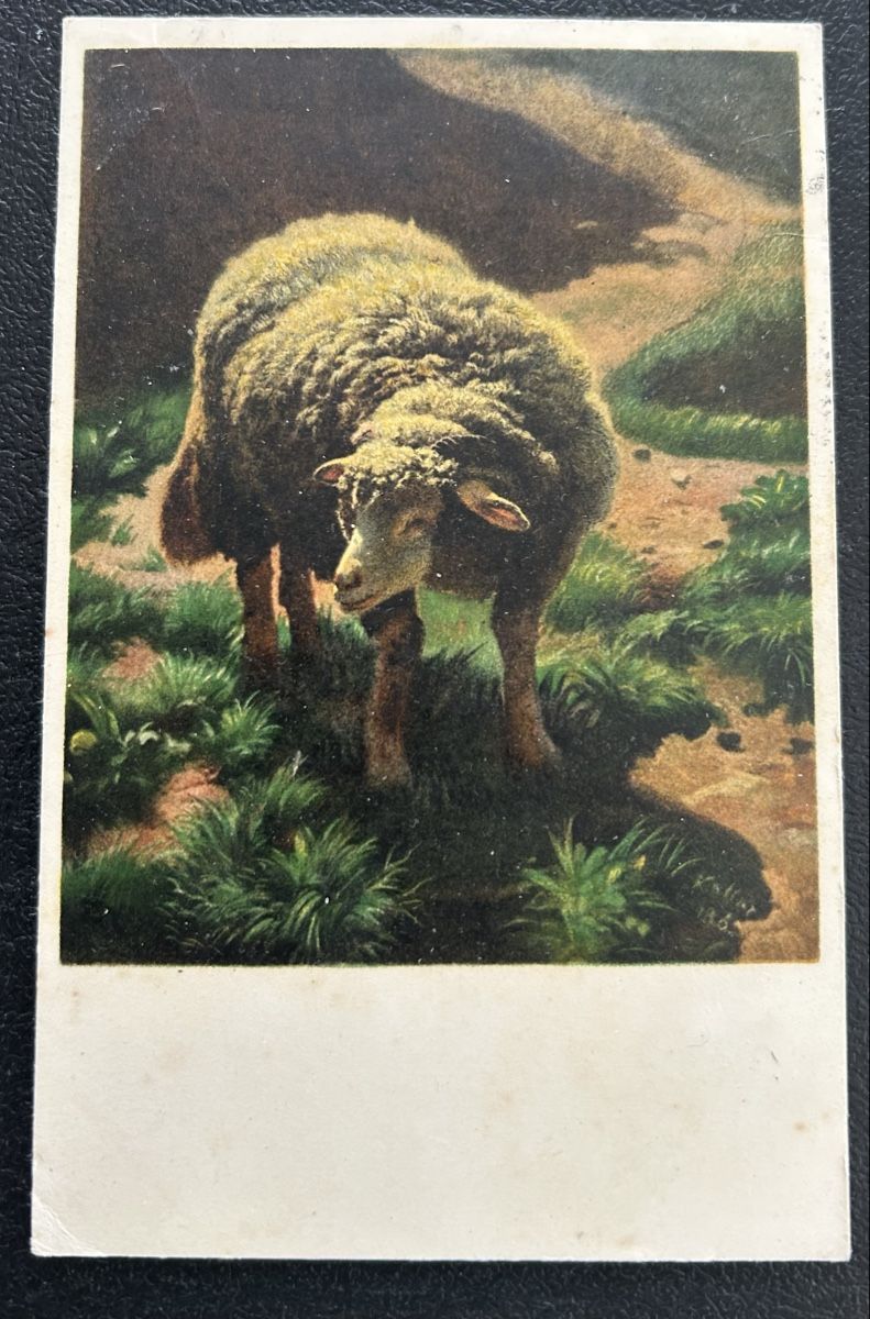 Cartoline postali: Pro Juventute Karte 97 – Usato da Horw venduto da Tellbub
