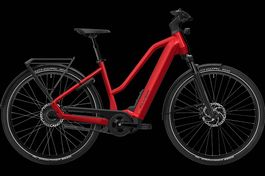 NEUES E-BIKE FLYER 25KM/H | 750WH FIT PANASONIC TREKKING