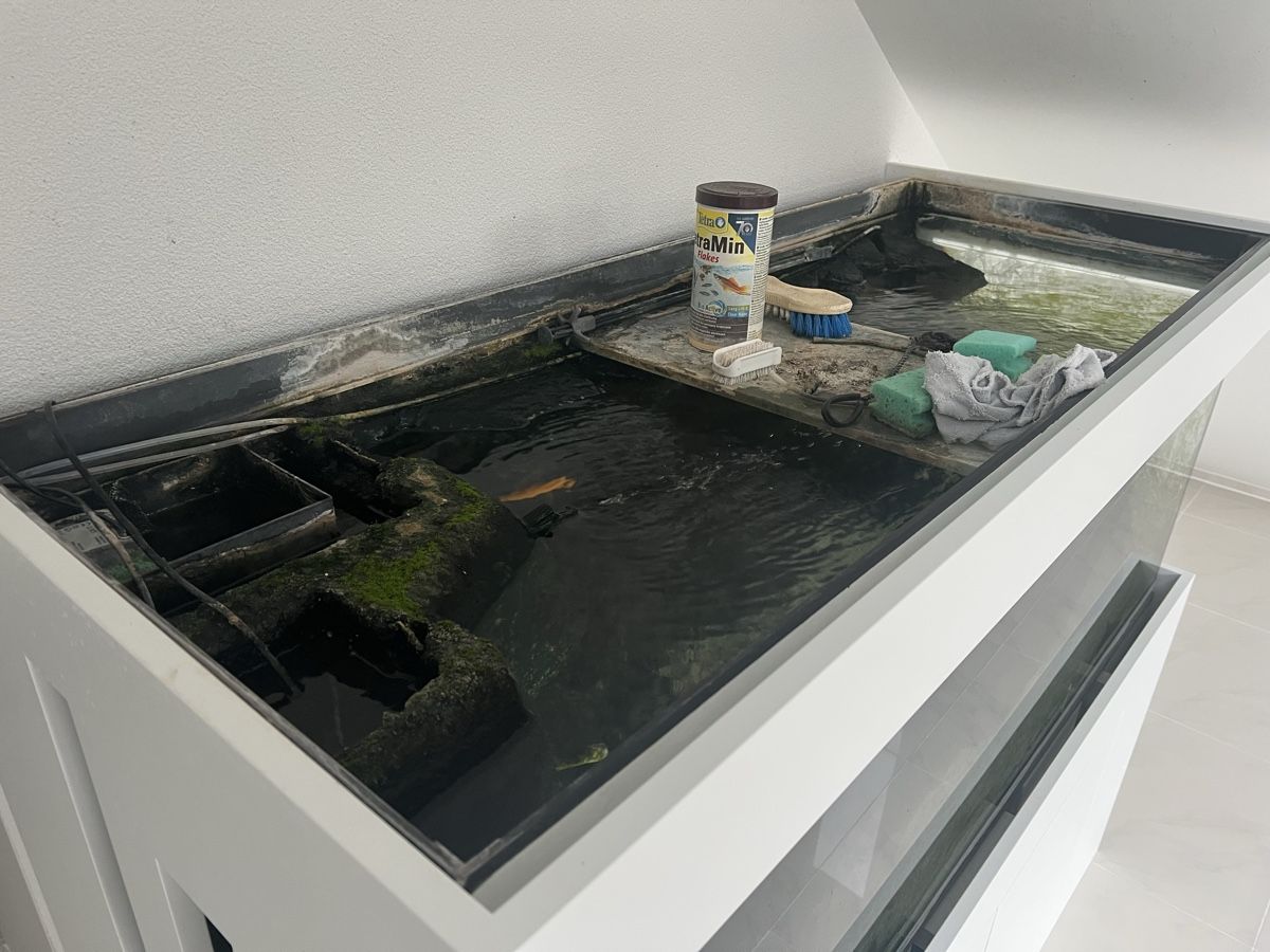 Acquari: Grosses Aquarium – Usato da Dietwil venduto da sarn 4
