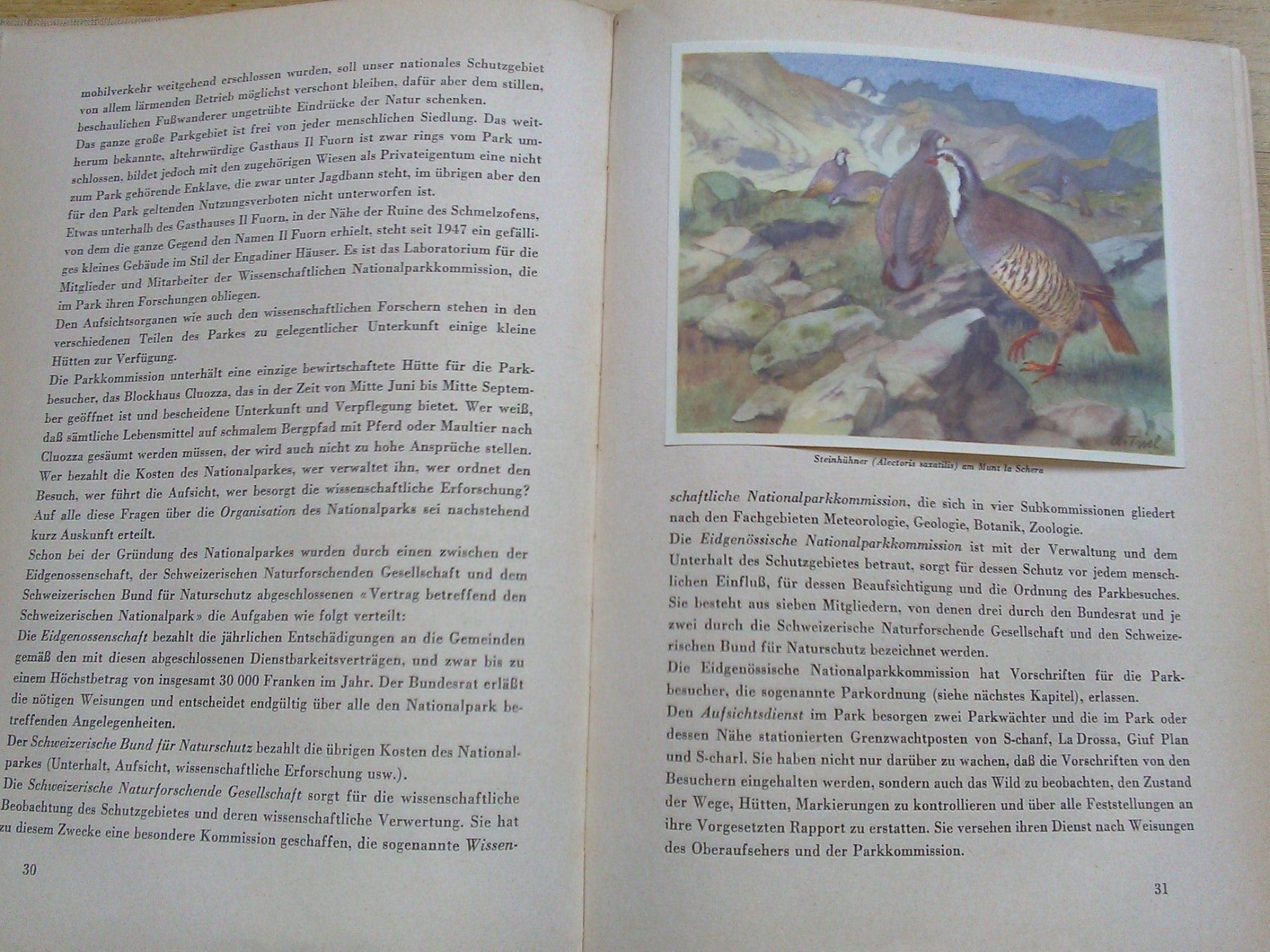 Libri: Der Schweizerische Nationslpark (1949) – Usato da St. Gallen venduto da elkapone 6