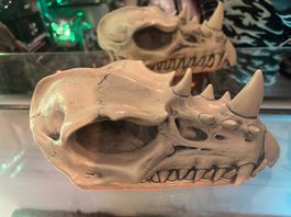 Dragonskull (Drachen Totenkopf) sculpt