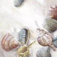 Serviette shells on the beach (1677) 2Stk.