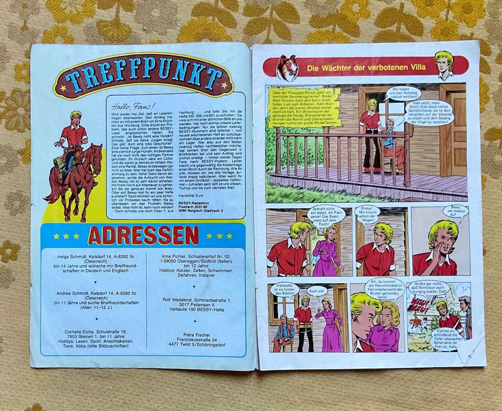 BD: Bessy Heft Nr 765 von 1981 ? – D'occasion à Endingen par nathan05 1