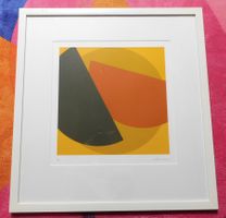 Sammlung Verkauf - Original Serigrafie Heinz Müller- Tosa