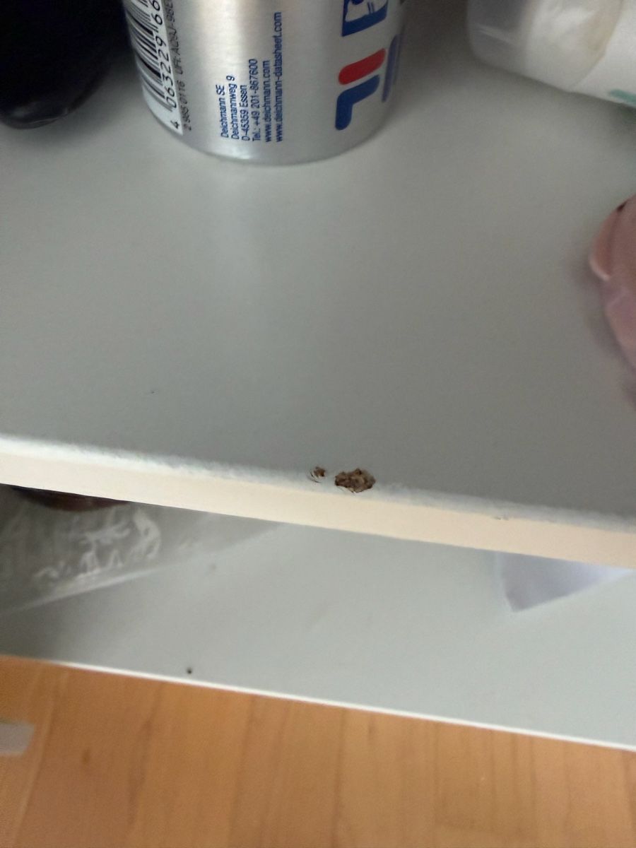 Armadi: Kleiderschrank – Usato da Röschenz venduto da enx_92lg 4