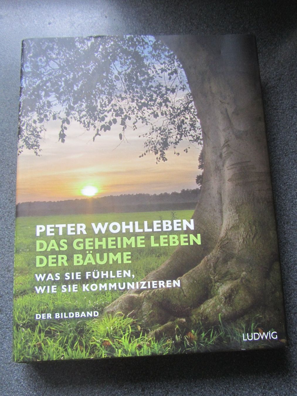 Bücher: Das geheime Leben der Bäume  - Peter Wohlleben – Gebraucht aus Seengen von