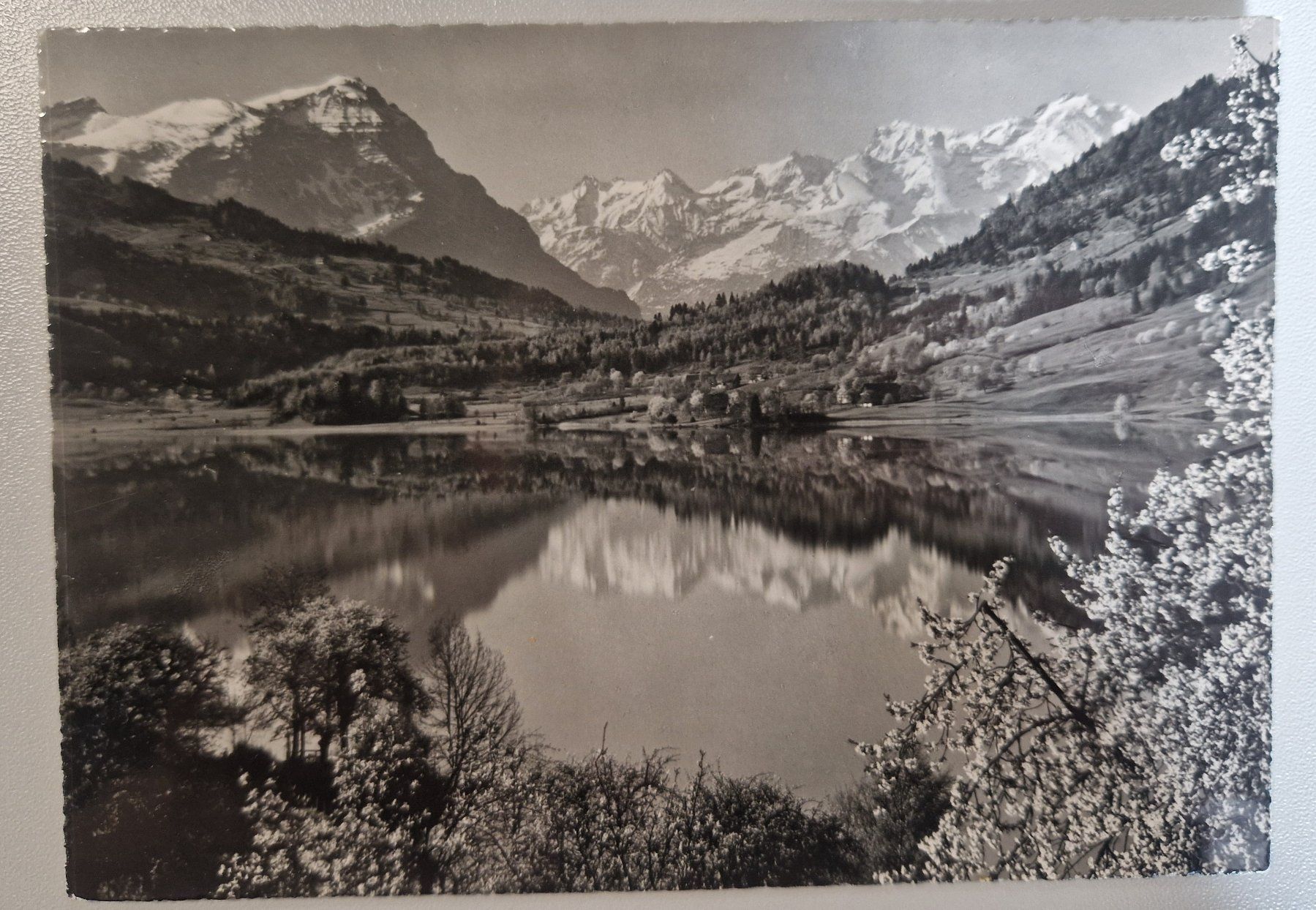 Cartoline postali: Am Aegerisee Top / alt – Nuovo (secondo la descrizione) da Melchnau venduto da Arthurius