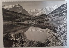 Am Aegerisee Top / alt