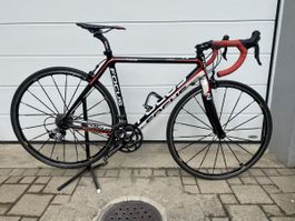 Rennrad Focus Cayo Shimano Ultegra schwarz rot gebraucht