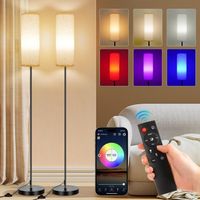 HOME Stehlampe Wohnzimmer RGB Dimmbar Smart Standleuchte