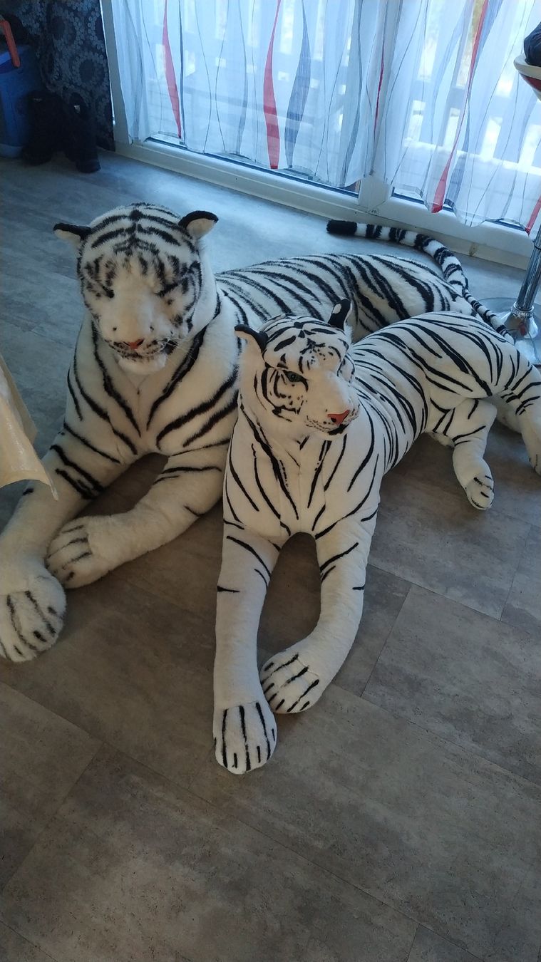 Esche: Tigres Blancs en Peluche – Usato da Granges VS venduto da Mapern