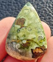 Cabochon L-9704 – Regenwald-Rhyolith 31.15 Karat 33x25x6mm
