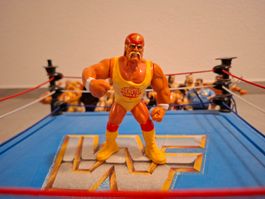 WWF Hasbro Hulk Hogan Serie 3 Vintage Figure
