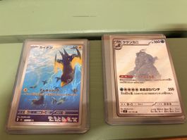 Pokémon Karten japanische Ar 2stück