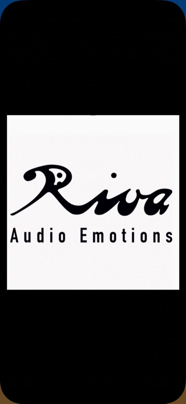 Giradischi: BRINKMANN AVANCE - RESTAURIERT - TOP – Usato da Wald ZH venduto da RIVAAUDIOEMOTIONS 7