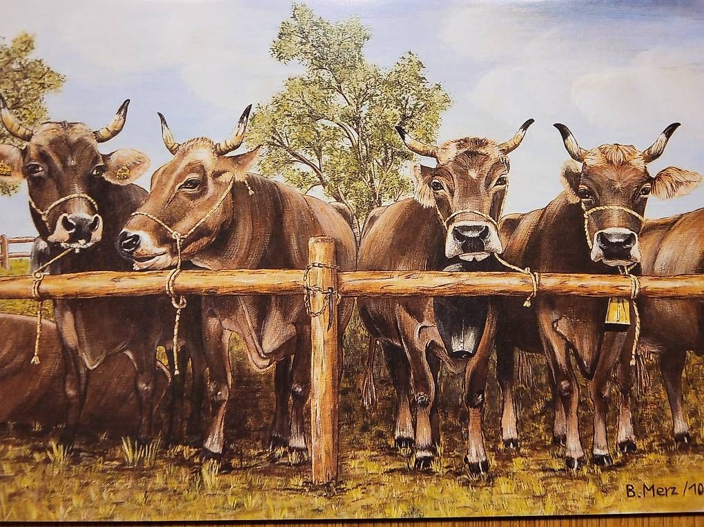 Foto & Immagini: Diverse Tier Bilder Handgemalt – Nuovo e nell'imballaggio originale da Unterägeri venduto da fam_h8qg