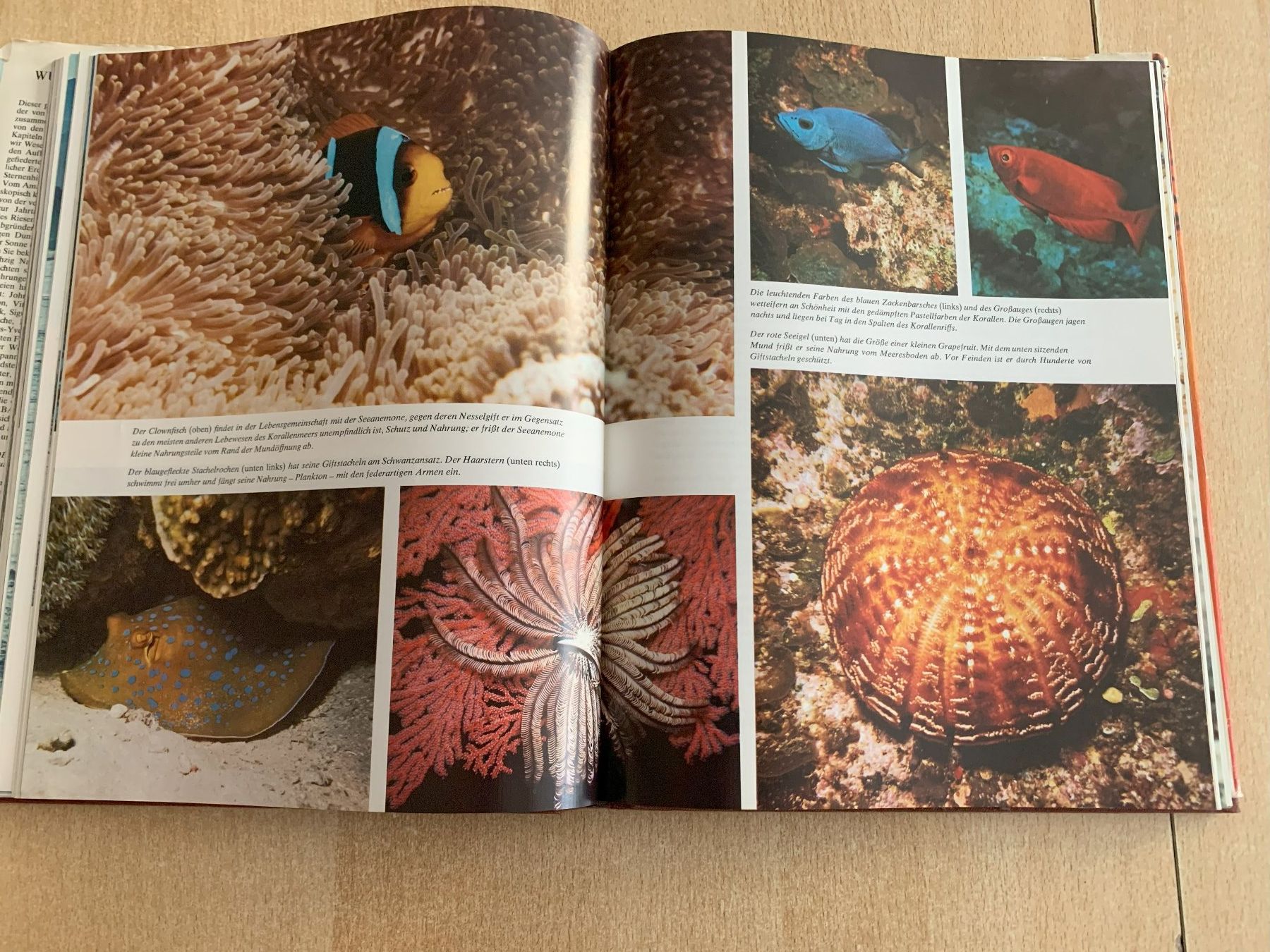Libri: Wunderbare Welt der Natur Reader's Digest – Usato da Reinach BL venduto da Grolifcb 6