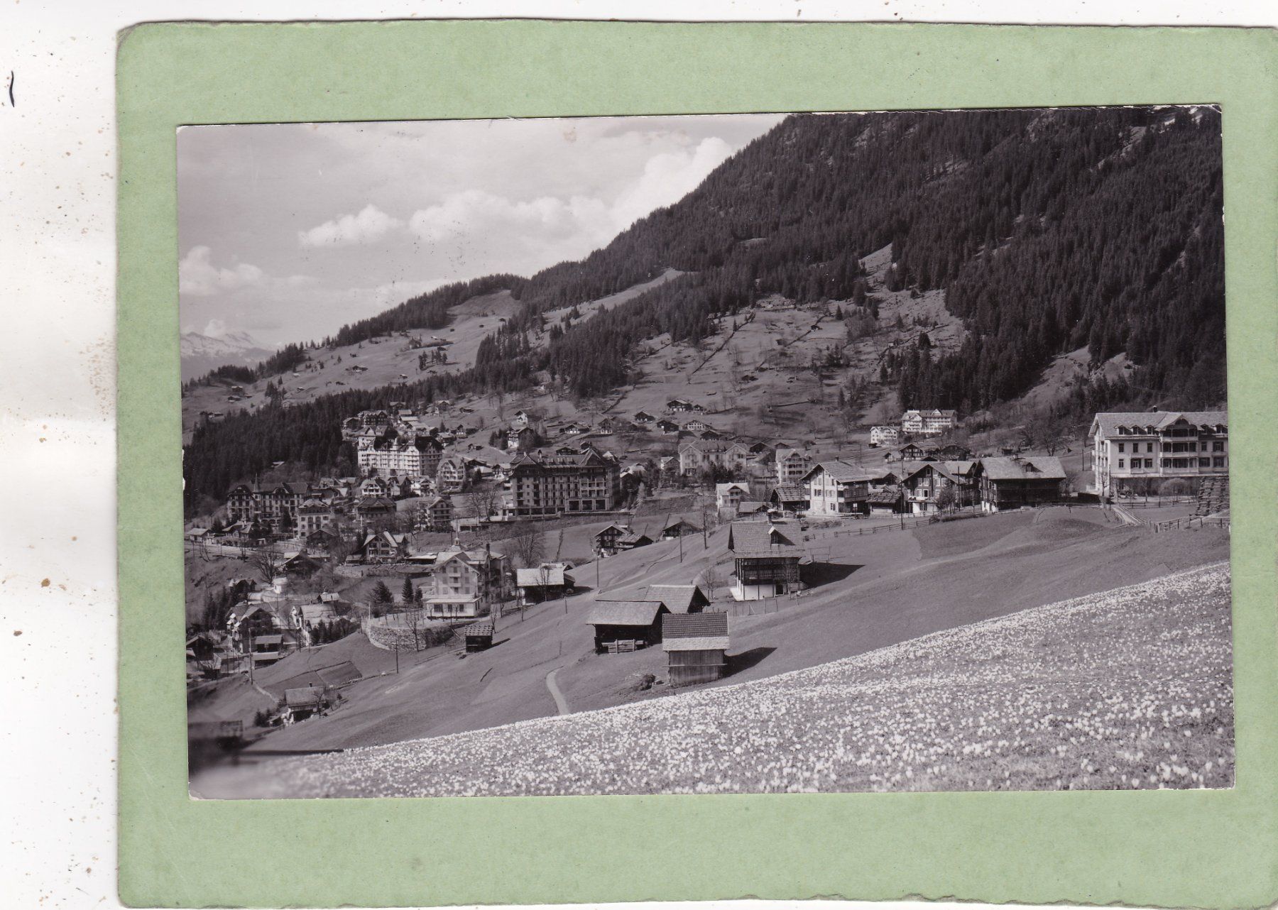 Cartoline postali: Wengen 1945 – Usato da Herisau venduto da Lisegrat2008