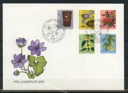 1975, FDC, Pro Juventute