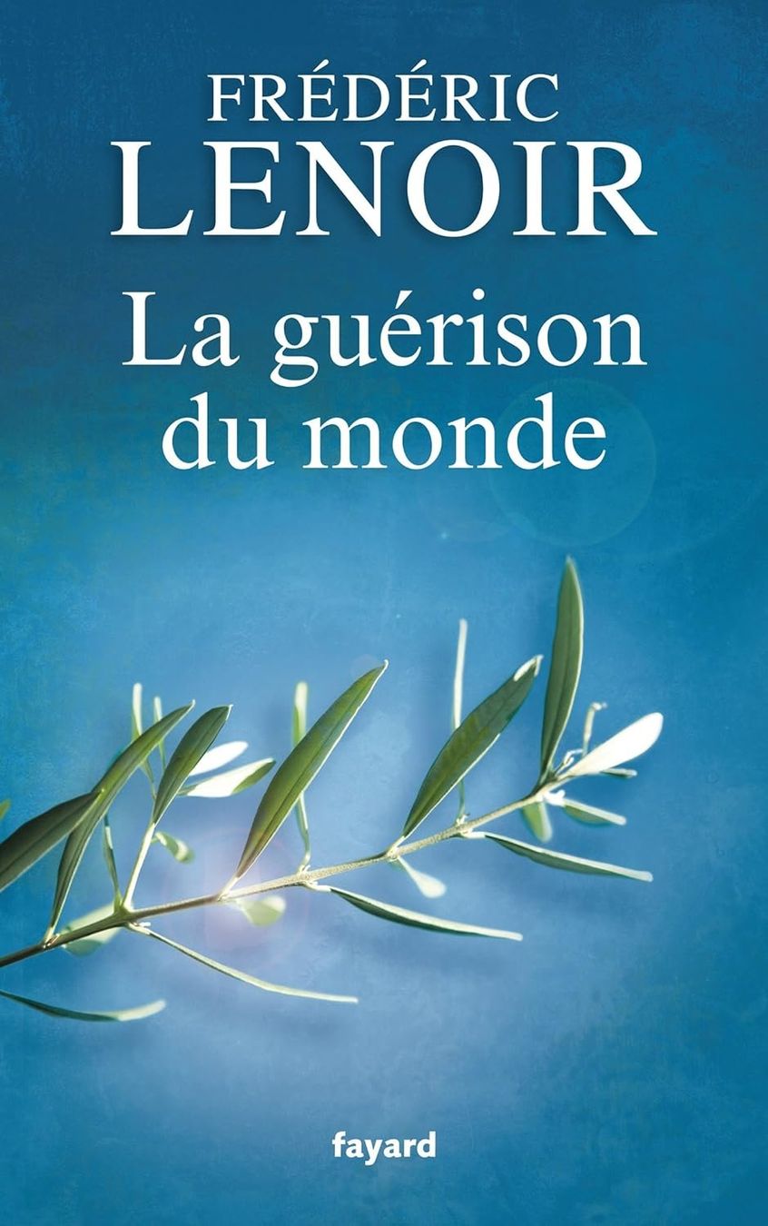 Livres: La guérison du monde – D'occasion à Neuchâtel par Dualseele