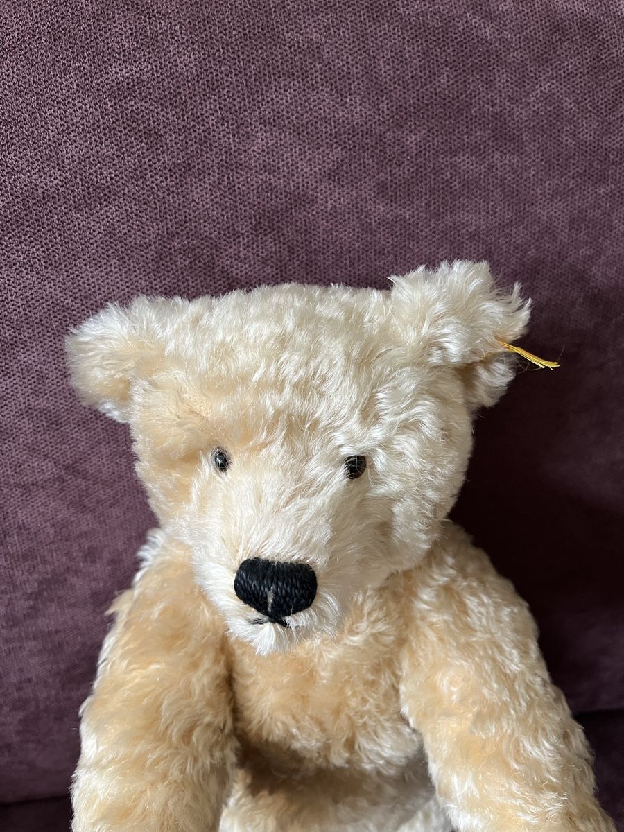 Steiff Giocattoli: Steiff ours collection – Nuovo (secondo la descrizione) da St. Prex venduto da Nikolletta 1