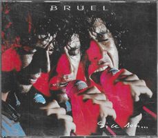 Patrick Bruel 2 CD's - Si ce soir...