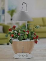 Potager d'intérieur Kitchen Gardening neSTOR occasion