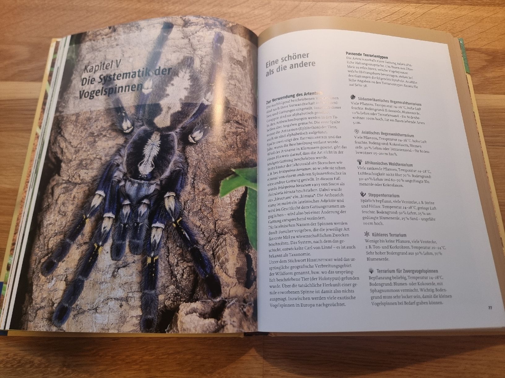 Libri: Vogelspinnen von Kosmos – Nuovo (secondo la descrizione) da Derendingen venduto da Sarah.jana 2