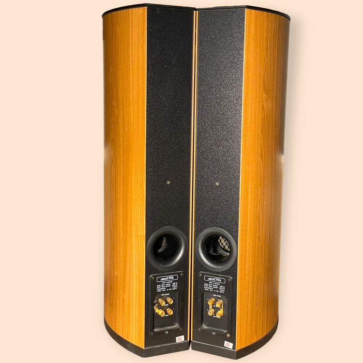 JAMO 507A FLOOR STANDING SPEAKERS Kaufen auf Ricardo