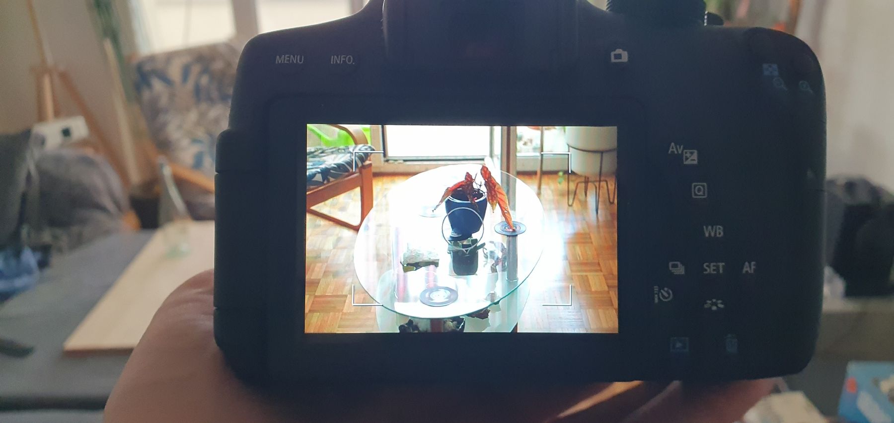 Canon Fotocamera: Canon EOS 750D Kit – Usato da Fribourg venduto da epu_7lxm 3