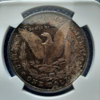 USA 1878 S San Francisco Morgan Dollar NGC MS 62