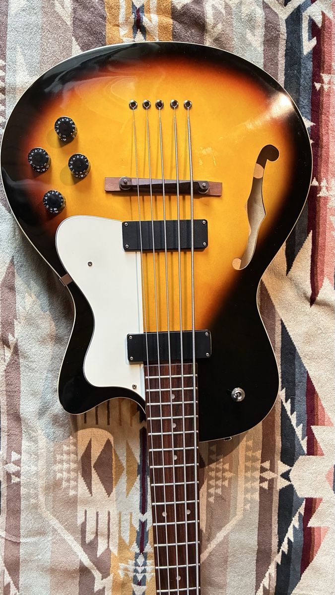 Strumenti musicali: Pasadena Bass Semi-Hollow – Usato da Winterthur venduto da Linouk 1