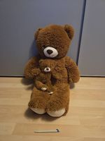 Teddy