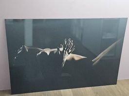 Akt-Fotokunst 150x100 cm