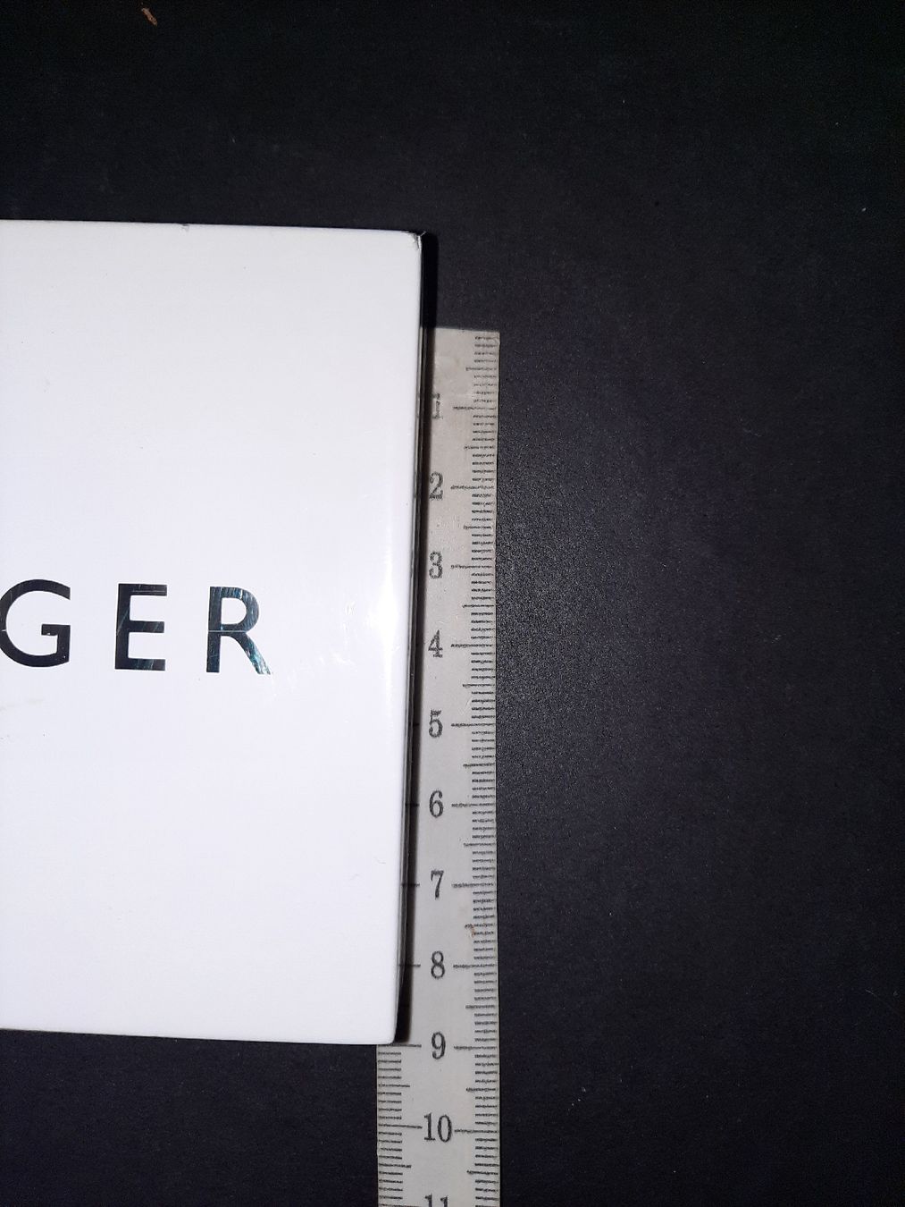 Schilder: Tommy Hilfiger cartello pubblicitario – Gebraucht aus Biasca von Old_6blh 5