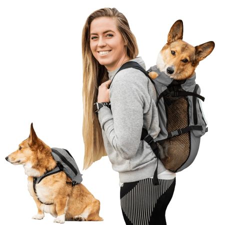K9 Sport Sack Walk-On 3in1, S