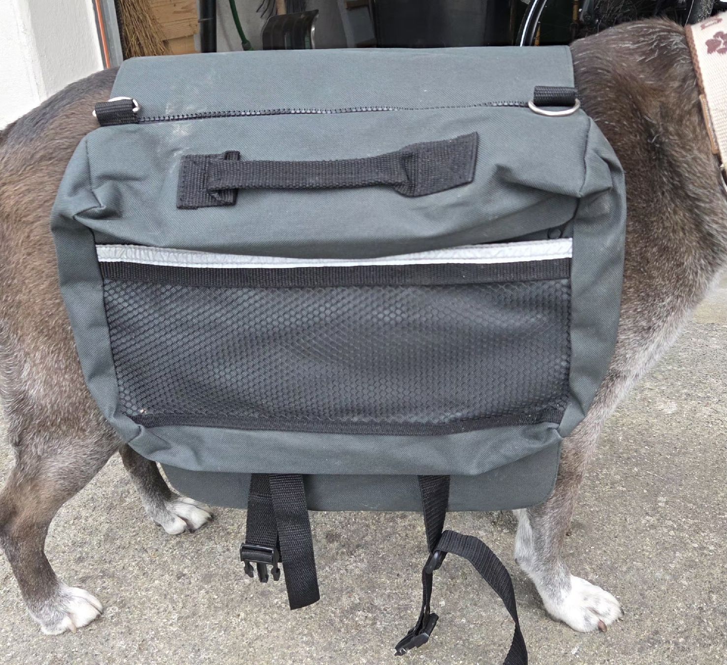 Zaini: Hunderucksack von Outdoor Doglife – Nuovo (secondo la descrizione) da Hallwil venduto da engebuehl