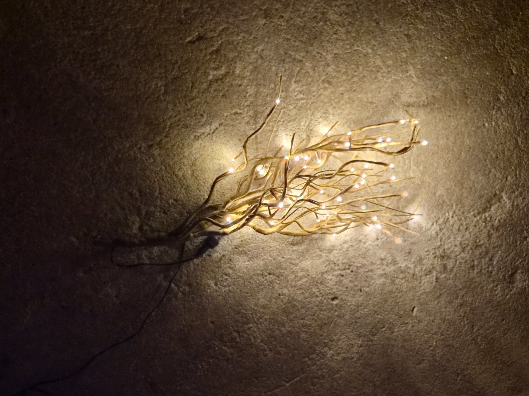 Alle Dekorationen: Dekozweig mit LED Lichtern, warmweiss, ca. 60cm – Gebraucht aus Zürich von Primanoctis 1