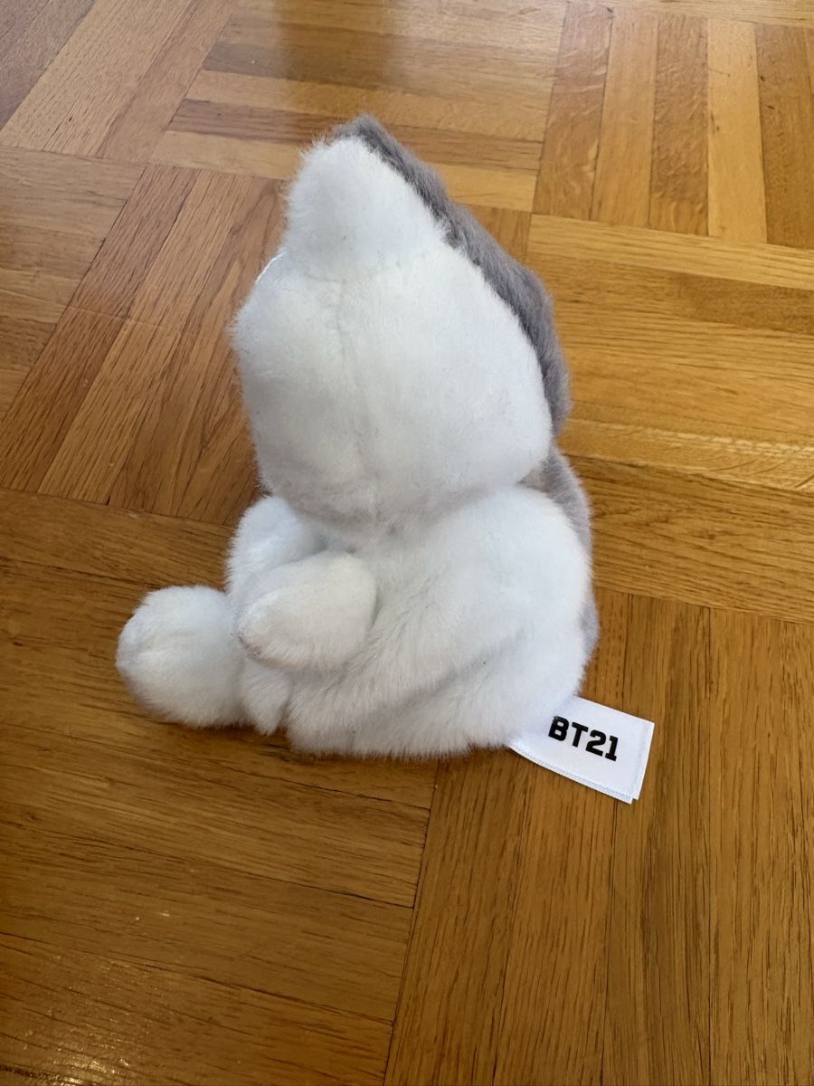 Jouets: BT21 Van – Neuf (Voir description) à Therwil par nin_n9zp 2